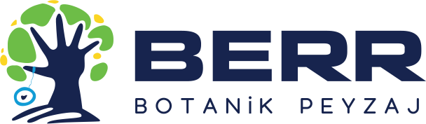 Berrbotanik